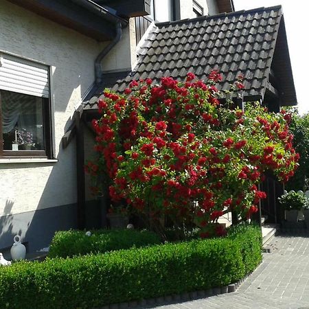 Ferienwohnung Raupe Фрицлар Экстерьер фото